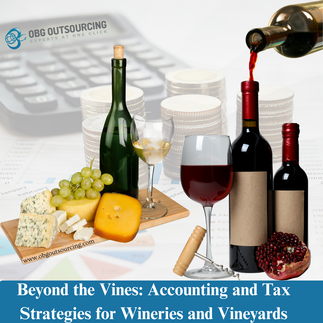 Beyond the Vines: Accounting and Tax Strategies for Wineries and Vineyards
