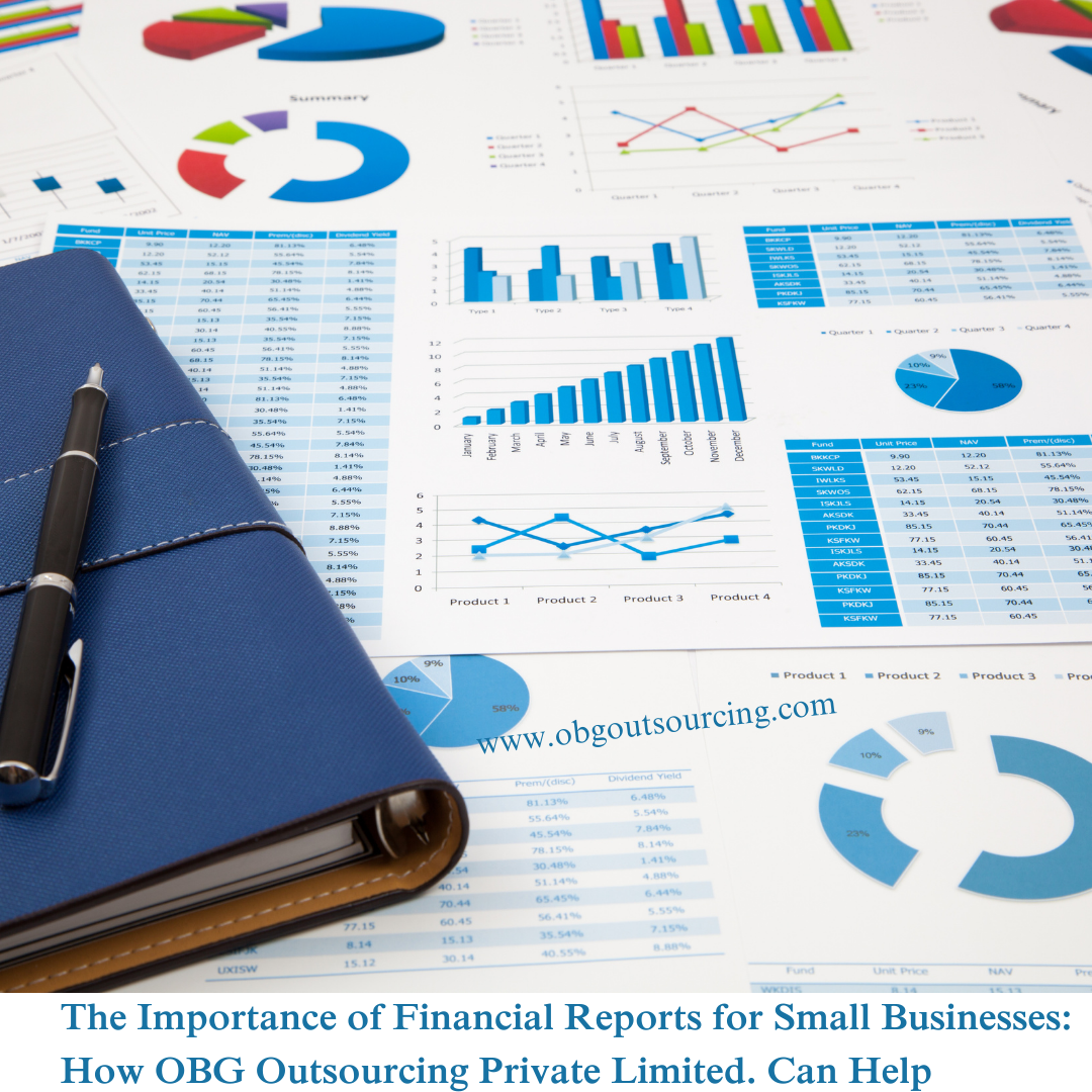 The Importance of Financial Reports for Small Businesses: How OBG Outsourcing Private Limited. Can Help