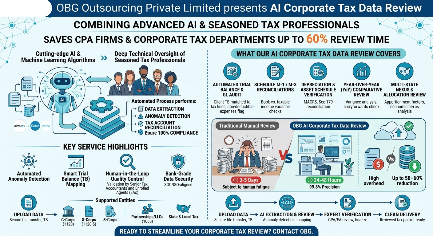 AI Corporate Tax Data Review Services